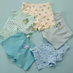 [빌도르] 레이싱 5매 남아 드로즈 사각 아동 키즈 어린이 팬티 세트