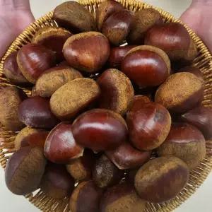 부여 밤 특품 대 4kg