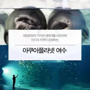 아쿠아플라넷 이용권 (여수점)