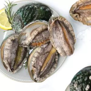 (완도생협)왕특대 활 전복 1kg 6-7미 선물포장