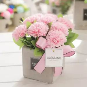 감사하는마음대 핑크 어버이날 스승의날 카네이션
