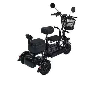 세발 출퇴근 장보기 전기자전거 어르신 3인용