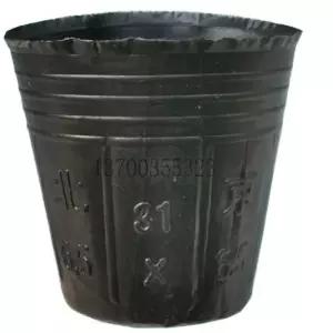 대용량 화분 포트 묘목 사계장미 테라스 장미 모종 플랜터 베리