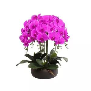 서양난 조화 화분 가짜 가짜꽃 선물 승진 나무 원예용 행운