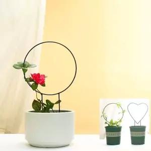 [골드스마일]bns 철제 스킨답서스 식물 줄기 지지대 23x34cm 링 하트