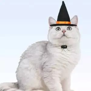 [에이치플러스몰]반려동물 미니모자 애완동물 모자 펫 귀여운 스타일링