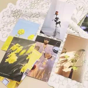 인테리어엽서모음 감성 컬러 엽서 모음 선샤인 드림/포토/카드/낭만/꾸미기
