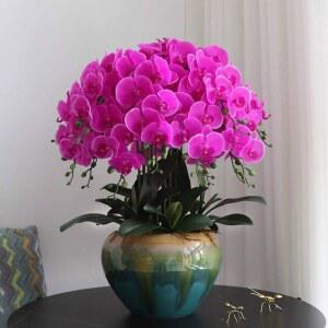 호접란 조화화분 8개 사무실 8송이 난꽃 난초 개업난 서양란 핑크8가지 보라색 보라색