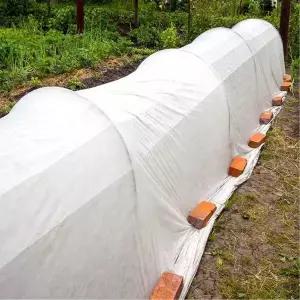 [오너클랜]WL 식물 보호 부직포 커버 원예 농사 덮개 10m