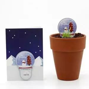 [골드스마일]스틱형 크리스마스 씨앗 스틱 재배 새싹 키우기 어린이 식물