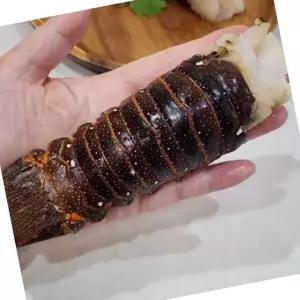 VDD 스파이니 랍스터 테일 30미 고급용