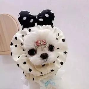 [셀러에이드]패션 반려동물 머리 밴드 도트 강아지 머리 밴드 헤어밴드 머리띠