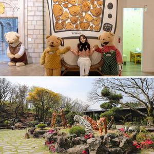 제주 테디베어하우스 테지움+포레스트공룡사파리 입장권 / 제주 어린이관광지 이색체험