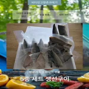 동해안 해풍 건조 반 건조 생선 구이 5종 세트 고등어 삼치 방어 열기 가자미 선물 세트