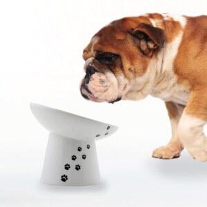 Necoichi 높은 강아지 사료 그릇, 개와 고양이용, 반려동물 공급기 미끄럼 방지, 소형견용 식기 세척기 및 전자레인지 사용 가능, 일본 No.1 판매자! (개, 엑스트라 와이드 틸트)