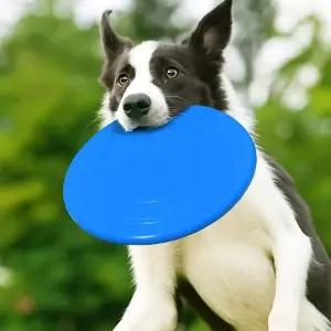 강아지 원반 장난감 블루 소형견 반려견 프리스비