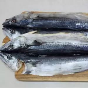 국내산 손질 삼치 구이 조림용 유아반찬 이유식 생선 순살