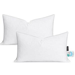 LEWONDR 12X20 인치 베개 있는 페더 던지기 흰색 다운 거실 삽입물 방지 세트 침대 소프트 배관 100 소파 플러피 삽입 프리미엄 사각 가장자리가