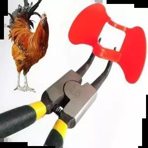 부화기 펜치 닭싸움방지 간편눈가리개 닭안경 꿩안경 세트