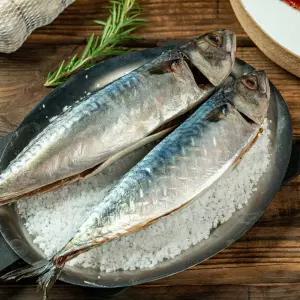 국산 통고등어 2kg 3미 특대 씨알 굵은 급속냉동 제철 생선