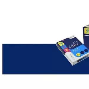 칼라전용 WQ361296 복사용지 복사지 250g A3 875매