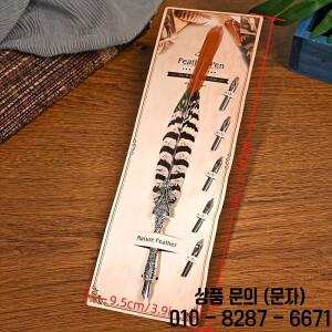 유럽 레트로 비즈니스 선물 깃털 펜 천연 스테인리스 스틸 담그는 종이 생일 매직 신제품