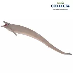 [컬렉타] 바실로사우루스