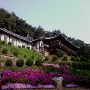 [경북 모텔] 안동 고택 이상루 (안동(경북도청,하회마을))