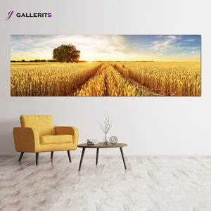 [갤러리츠] 가을 풍경 사진 황금들판 안방 침실 풍수지리 인테리어 액자