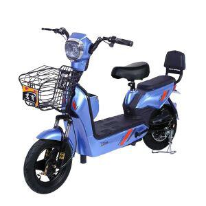 전기 자전거 배달용 출퇴근용 전동스쿠터 48v 작은