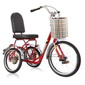 세발 자전거 어르신 삼륜 자전차 성인용 2인 짐칸