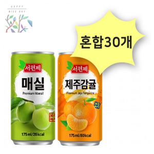 제주감귤 매실175ml 각15개 캔음료 사무실간식 감귤주스 매실주스