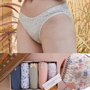 세미비키니라인팬티 순면팬티 5종