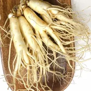 6년근 세척인삼 300g