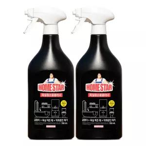 홈스타 욕실용 클리너 본품 750ml 2개