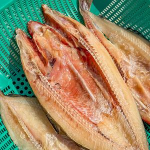 농가살리기 주문진 반건조 손질대구 중짜) 1마리 (320g 내외)