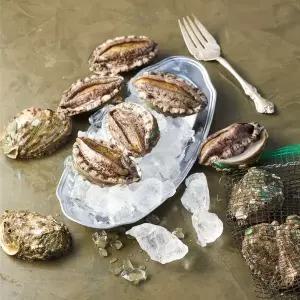 [NS홈쇼핑]완도전복주식회사 완도활전복 왕특특대 6~7미 1kg(마리당140g내외)..[34685763]