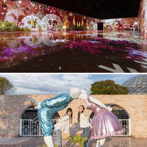 [제주] 아이바가든+러브랜드 / 제주도 가족여행 미디어아트 야간관광지