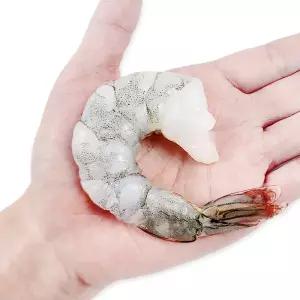 [롯데백화점]숨비 영업조합법인 칵테일새우 손질 생새우살 냉동 흰다리새우 두절 탈각 깐새우 1kg