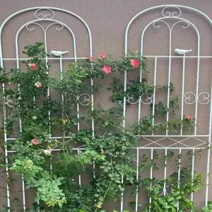 정원 식물 지지대 아치형 철제 프레임 펜스 울타리