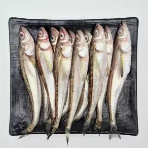 비제이마켓 국내산 도루묵 1KG X1팩 동해안도루묵