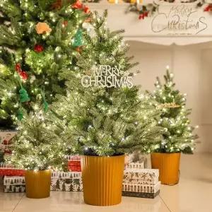 [텐바이텐]크리스마스 골든팟 트리 90cm 홈파티 어린이집 유치원 장식 용품