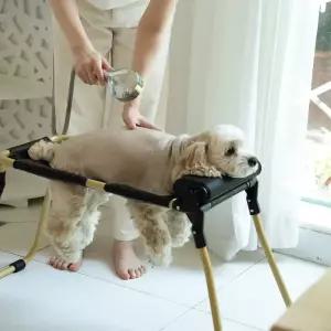 [대형]다리가 아픈 아이도 편하게 강아지 고양이 샤워베드 미용기구 목욕받침대 펫그룸 대형세트 1대