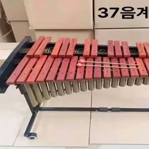 틴다샵 마림바 타악기 교구 성당 교육용 교회