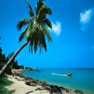 [4인출발싼야삼아직항] 하이난+관광자유+맹글로브리조트 56일