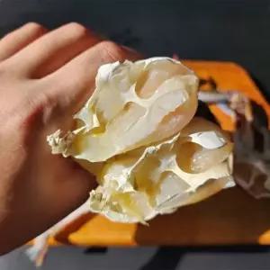 국내산 급냉 무침용 게장용 손질 절단 꽃게 5kg