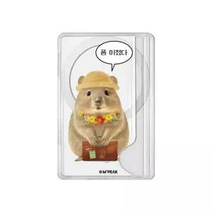 홀리데이 쿼카 2장수납 맥세이프 카드슬롯