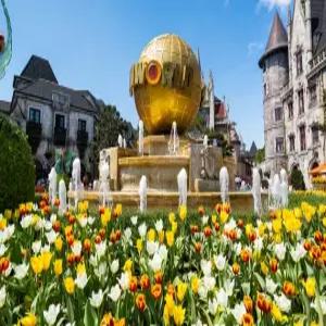 부산출발 다낭/호이안 5일 #노쇼핑 #바나산국립공원 #한시장 #투본강투어 #라운지음료제공