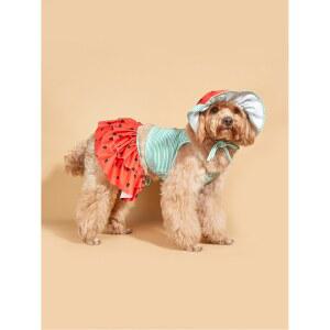 작은 개를위한 개 드레스 강아지 애완 동물 옷과 멋진 의상 줄무늬 강아지 개를위한 멋진 수박 의류 고양이 여름