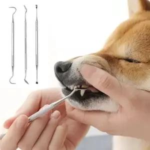 현이몰 잔솔 강아지 셀프스케일링 3종세트 치석제거기 고양이 강아지칫솔 강아지스케일링 강아지양치